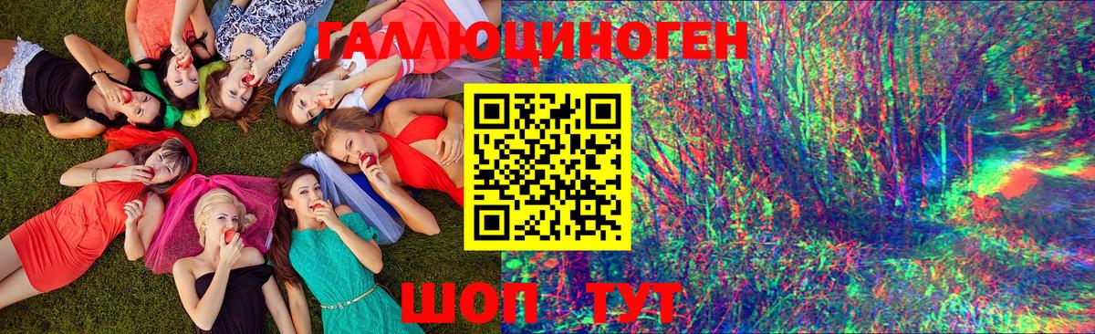 Галлюциногенные грибы Psilocybine cubensis  Вход с VPN  Заволжье 