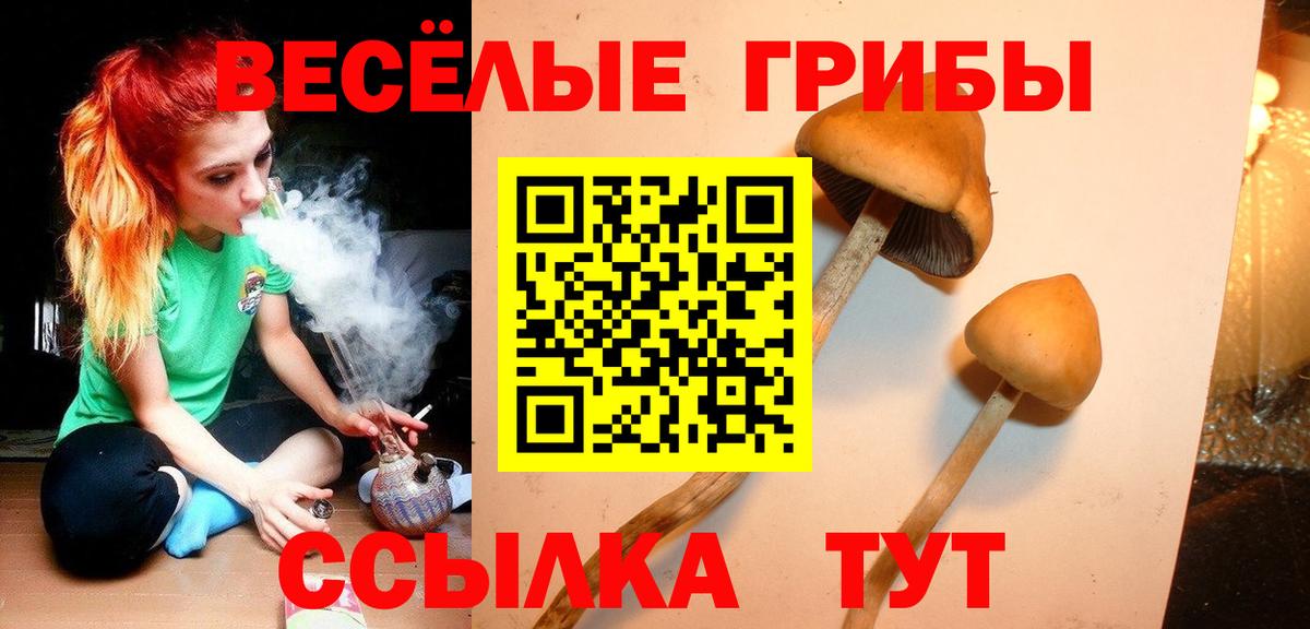 Псилоцибиновые грибы Psilocybine cubensis Заволжье